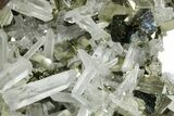 Gleaming Cubic Pyrite Crystals with Clear Quartz - Peru #351189-5